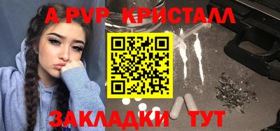 молекула духа Кингисепп