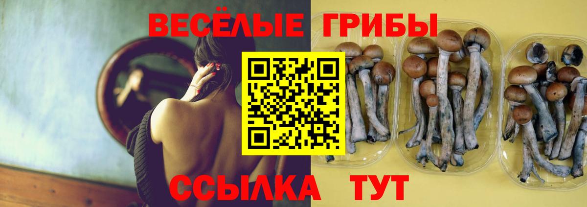 Галлюциногенные грибы Psilocybine cubensis  Галлюциногенные грибы GOLDEN TEACHER  купить наркотики цена  Аксай  Вход с VPN 